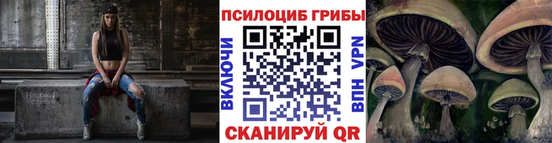 Псилоцибиновые грибы Magic Shrooms  купить наркоту  OMG онион  Троицк 